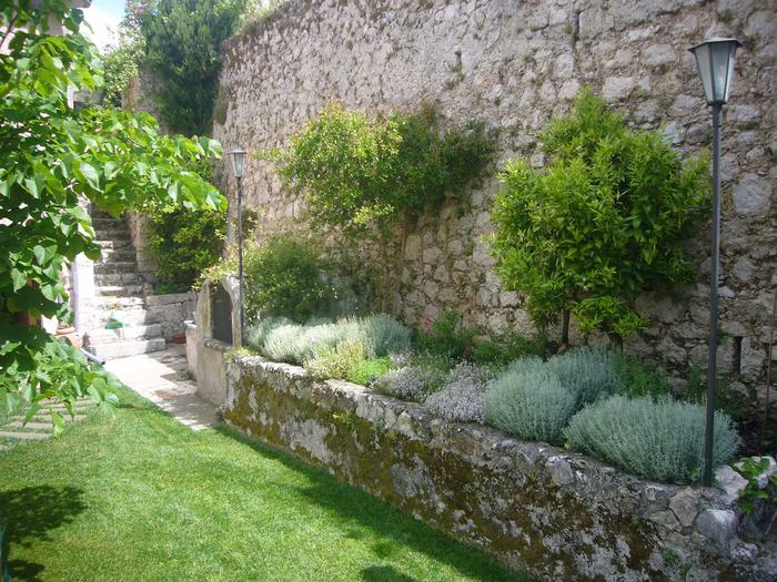 Bed of aromatic plants along the wall