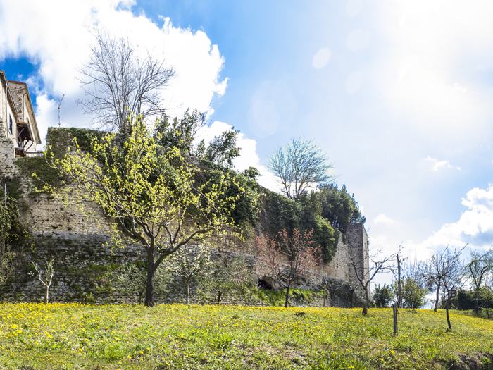 The castle walls embracing the orchard